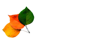 LTO | Gartenpflege & Gartenservice Wien | Ihr Gärtner für ganz Wien & Umgebung